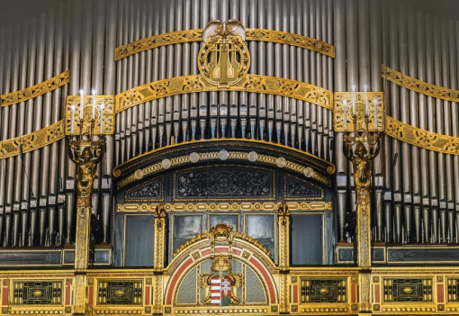 Orgona a központban