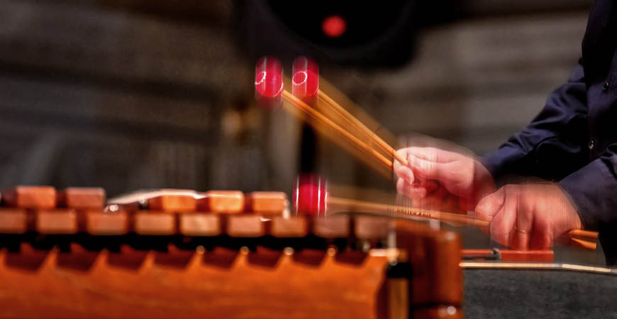 Amadinda Percussion Project 