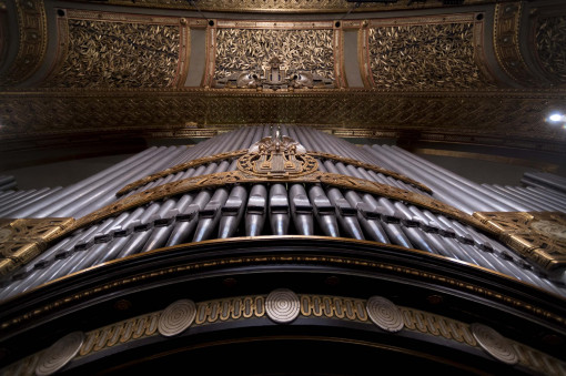 Orgona rekonstrukció – Riportfilm